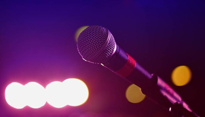 Top 4 Mejores Micrófonos Para Karaoke. Relación Calidad-Precio. Comparativa